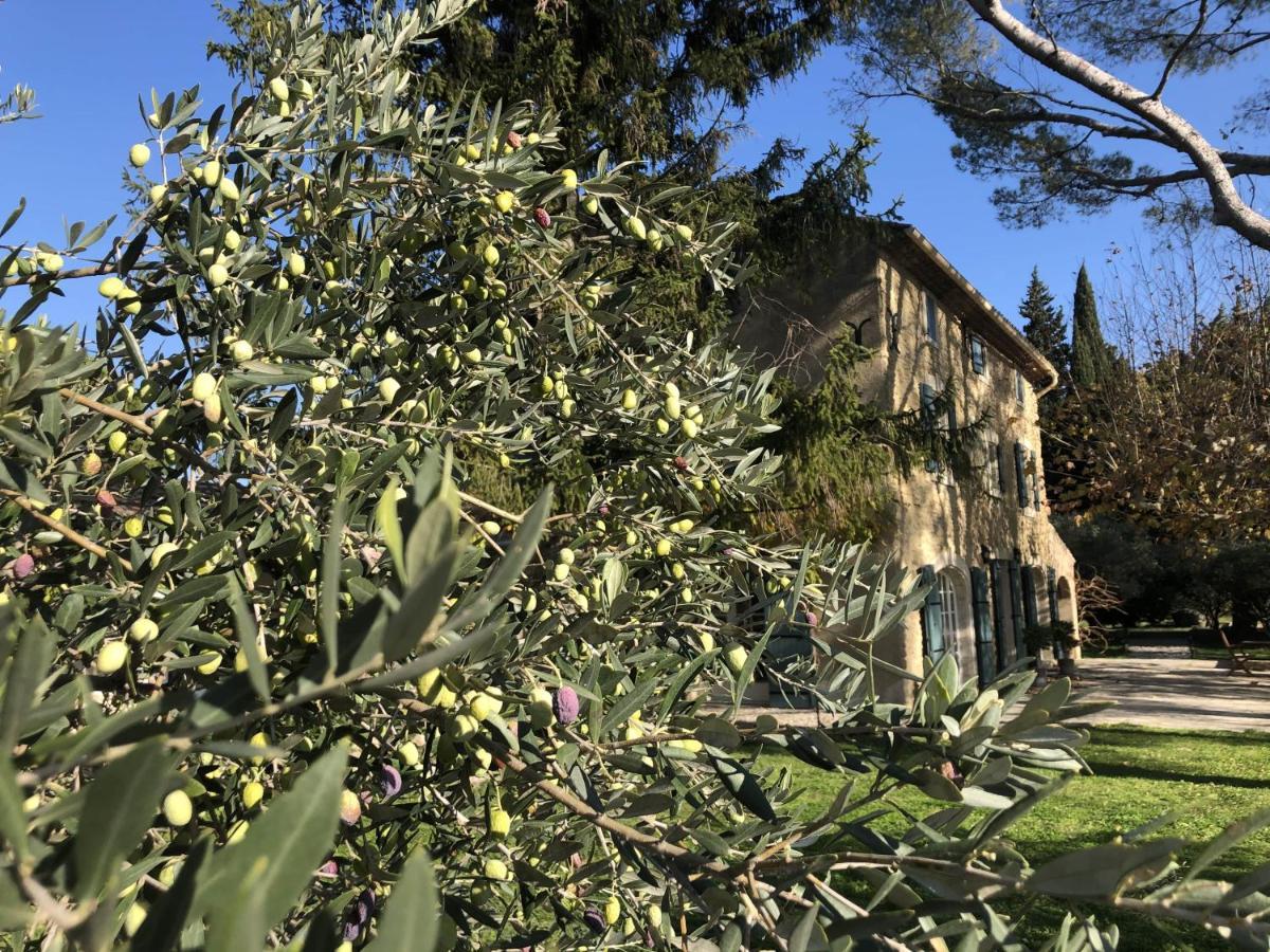 Bed and Breakfast Desir De Provence Саррьян Экстерьер фото